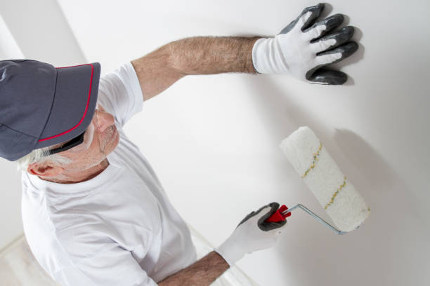 Reliable Mckinney, TX Mold Removal Solutions
