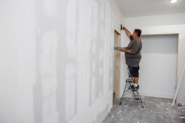 Environmental Consulting for Mold Prevention in Mckinney, TX